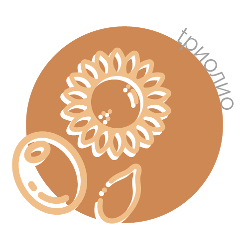 Triolio